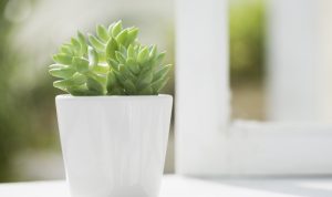 口の中にも「ストレス源」