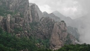 注目!!中国に存在する樹木ががんに有効との報告 その4